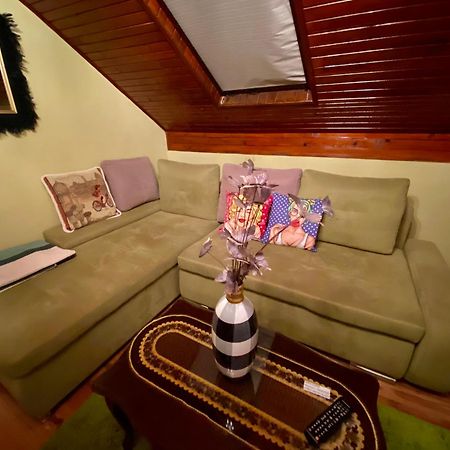 Villa Miris Dunja Zlatibor Ngoại thất bức ảnh