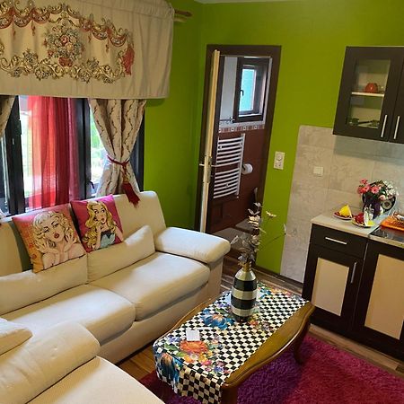 Villa Miris Dunja Zlatibor Ngoại thất bức ảnh