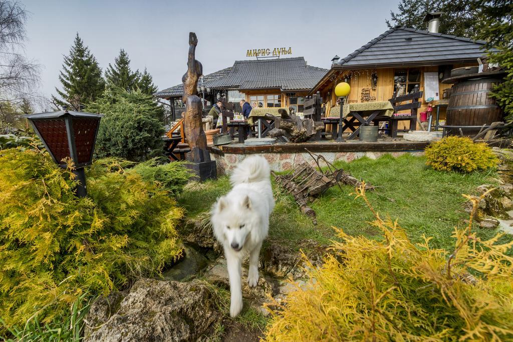 Villa Miris Dunja Zlatibor Ngoại thất bức ảnh