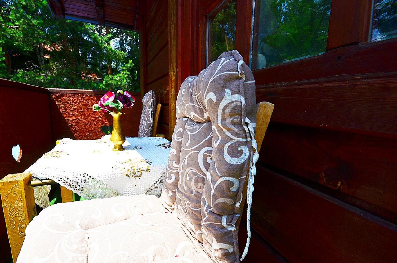 Villa Miris Dunja Zlatibor Ngoại thất bức ảnh