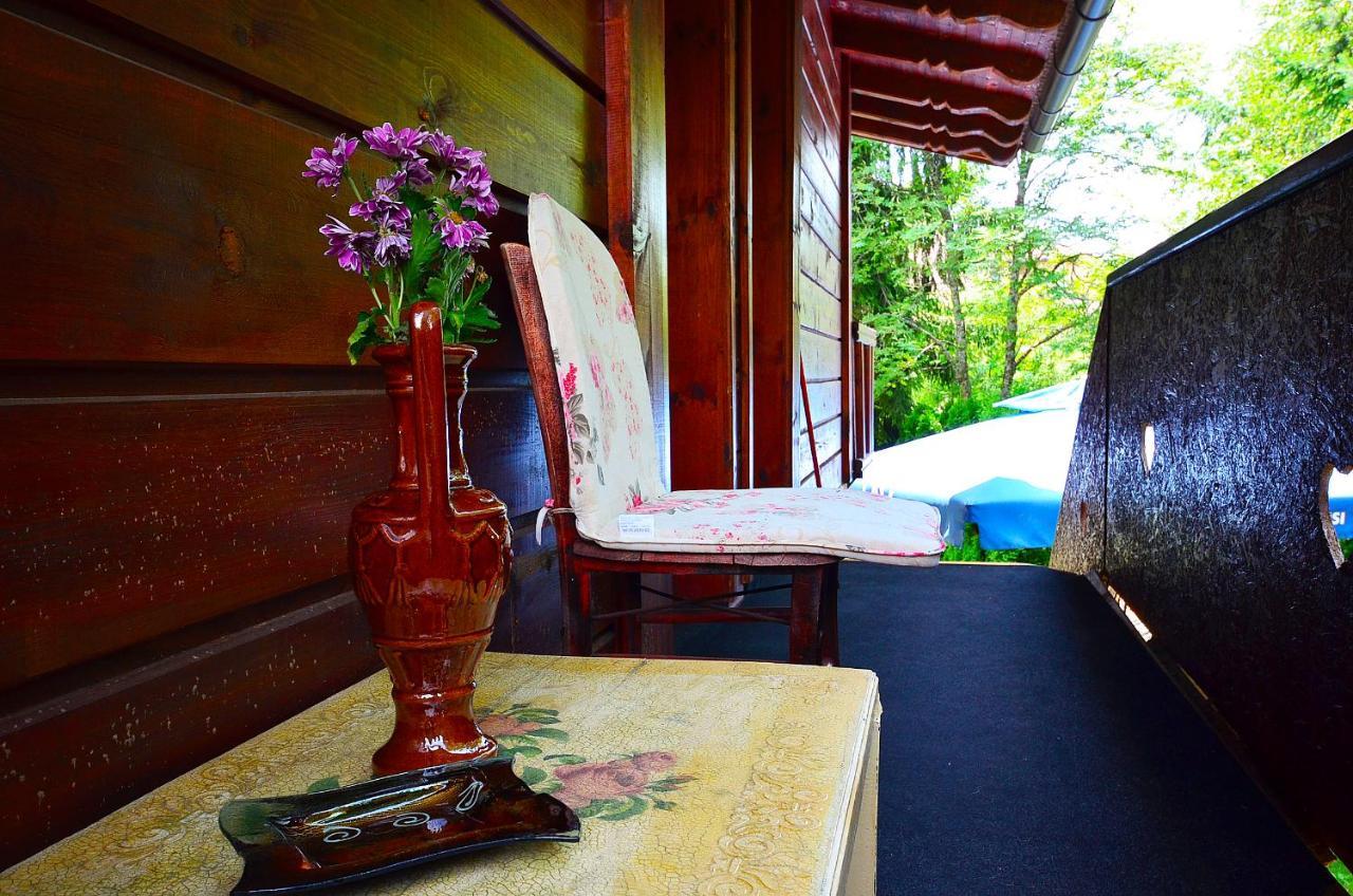 Villa Miris Dunja Zlatibor Ngoại thất bức ảnh