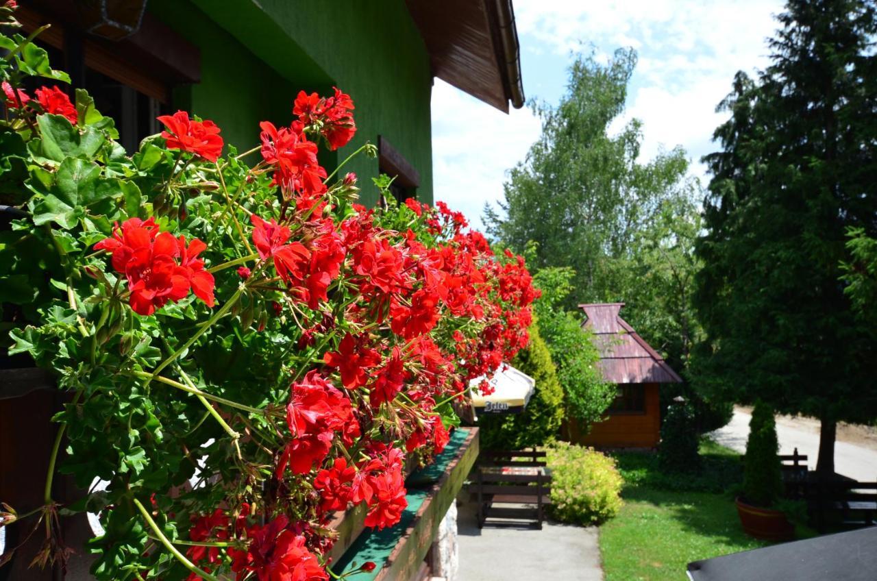 Villa Miris Dunja Zlatibor Ngoại thất bức ảnh